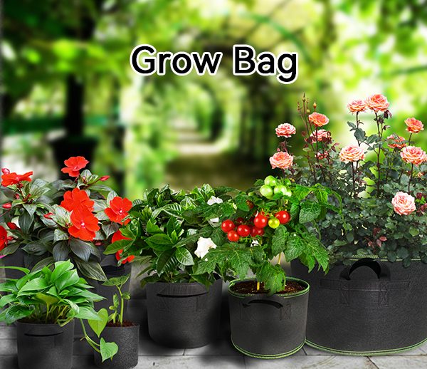 Grow Bag